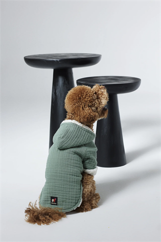 Dante Chills Vanilla Sky Köpek Hoodie Yeşil