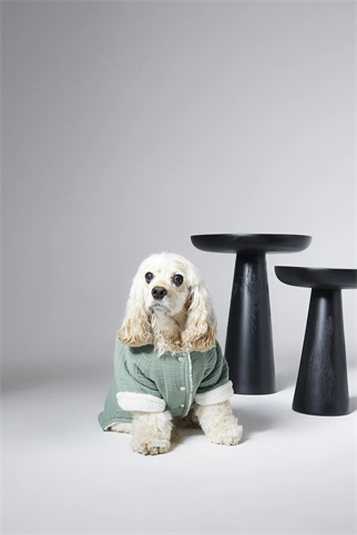 Dante Chills Vanilla Sky Köpek Hoodie Yeşil