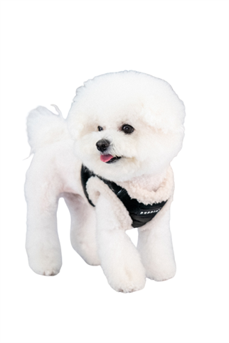 Puppia Winterstride Harness B Köpek Göğüs Tasması - Siyah