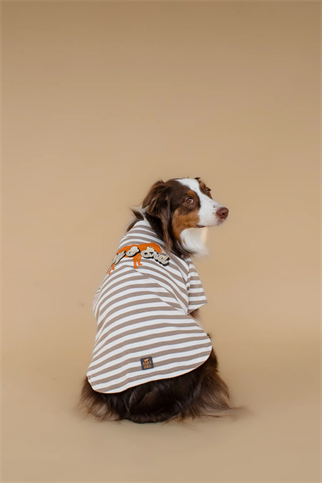 Asky&Erd Heritage Stripe Tshirt Oat Latte