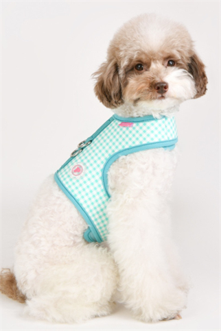 Pinkaholic New York Alaia Pinka Harness Göğüs Tasması Mavi