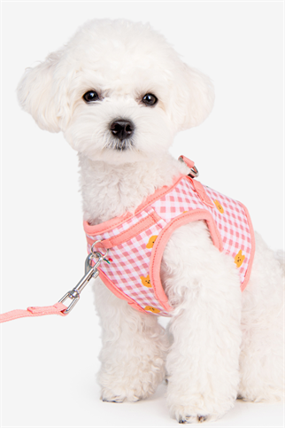 Baba Harness B Köpek Göğüs Tasması Pembe 