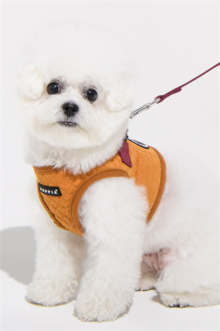 Irvin Harness B Köpek Göğüs Tasması Hardal Rengi 