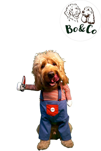 Bo&Co Chucky Kostümü