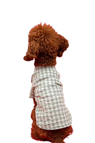 Goodboi Pötikareli Mint Gofre Gömlek