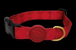 Diamonds Boyun Tasması Morso