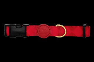 Diamonds Boyun Tasması Morso