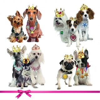 Dog & Dolls Sleeping Valve Pug French Bulldog