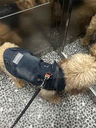 DolcePets - Denim Jacket-Köpek Kot Ceket