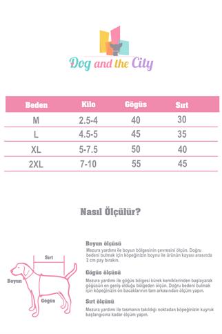 DolcePets Hawaii Blue - Mavi Köpek Gömleği