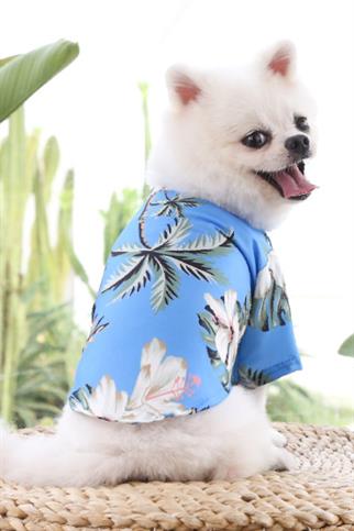 DolcePets Hawaii Blue - Mavi Köpek Gömleği