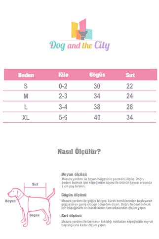 DolcePets Heart Dress - Kalp Elbise - Kırmızı