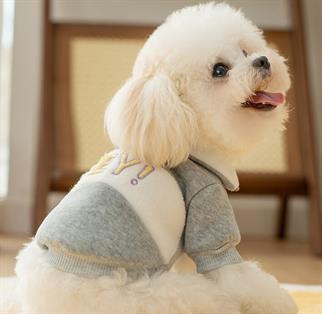DolcePets / Hey Köpek Sweatshirt /Gri