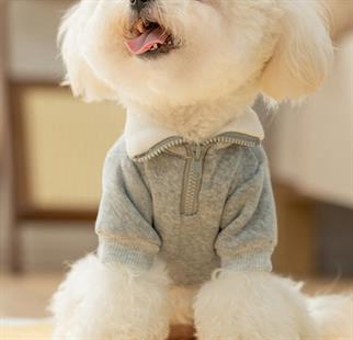 DolcePets / Hey Köpek Sweatshirt /Gri