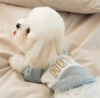 DolcePets / Hey Köpek Sweatshirt /Gri
