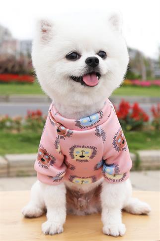 DolcePets Lion T-shirt - Aslanlı Köpek Tişört