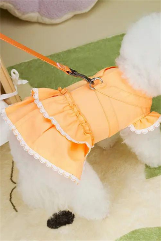 Dolcepets Prenses Elbise - Turuncu