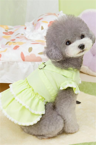 Dolcepets Prenses Elbise - Yeşil 