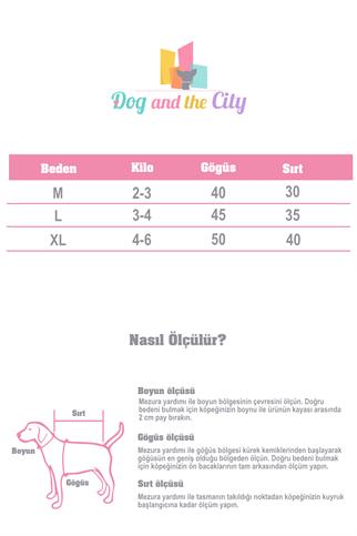 DolcePets Sky Blue T-shirt - Mavi Köpek Tişört