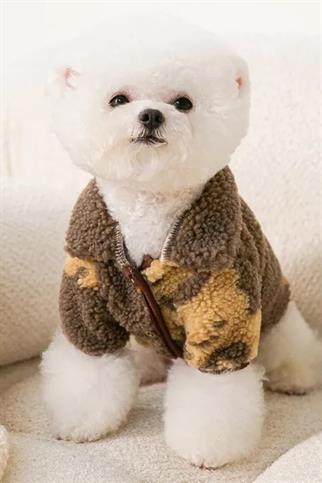 Dolcepets -Tedy Dog ​​Coat - Brown