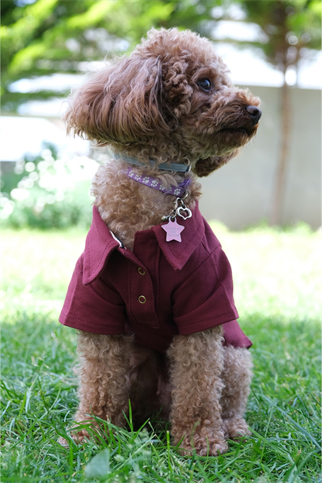 Doredog bordo polo tişört