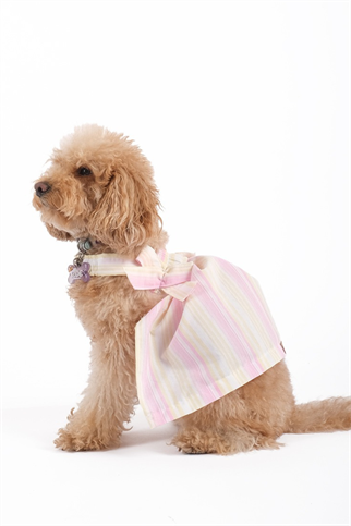 Doredog çift fiyonklu pembe sarı elbise