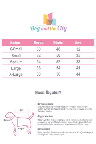 Doredog Cotton Candy Luxury Teddy Bear Coats Köpek Mont Pembe