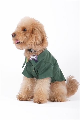 Doredog haki polo tişört