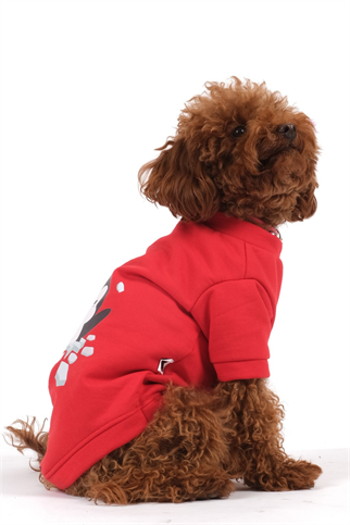 Doredog Kırmızı Penguen Baskılı Sweatshirt