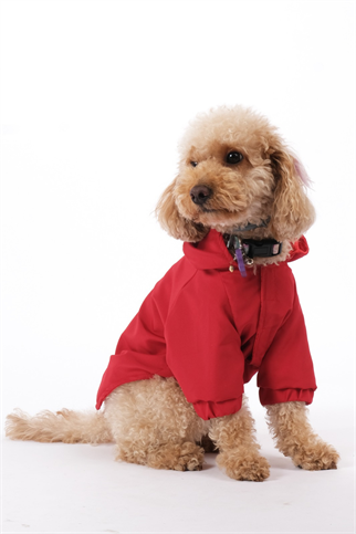 Doredog Kırmızı Yağmurluk