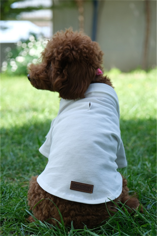 Doredog Krem Polo Yaka Tshirt