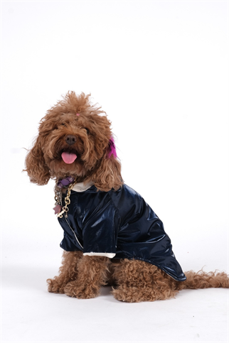 Doredog Lacivert Parlak Mont