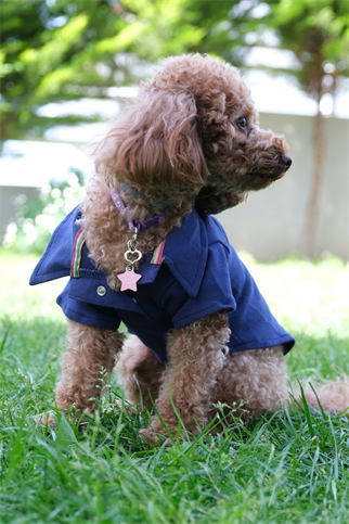 Doredog lacivert polo tişört