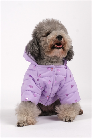 Doredog Lila Kalpli Mont