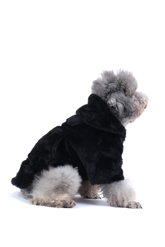 Doredog Luxury Teddy Bear Coats Köpek Mont Siyah - XXL
