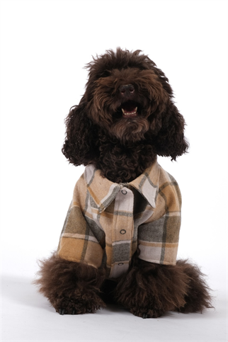 Doredog Oduncu Gömlek Taba