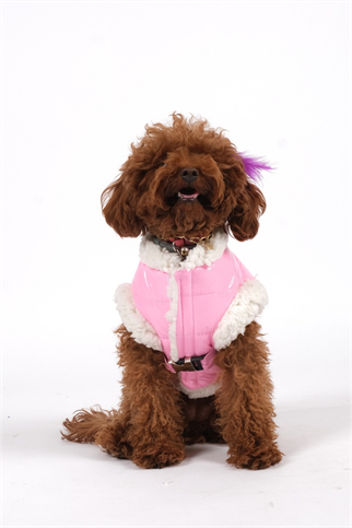 Doredog Pembe Parlak Tasma