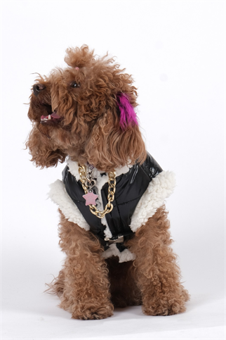 Doredog Siyah Parlak Tasma