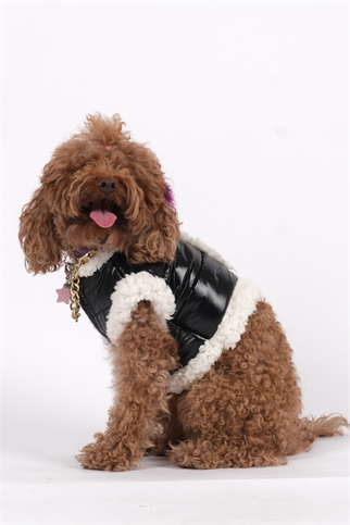 Doredog Siyah Parlak Tasma