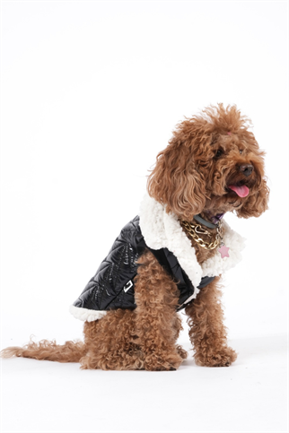 Doredog Siyah Parlak Yelek