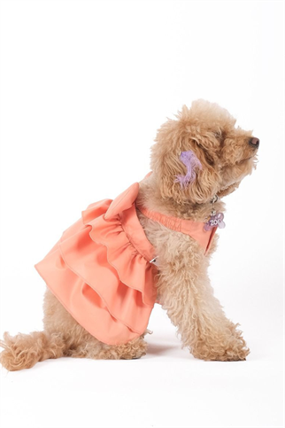 Doredog Somon Elbise 