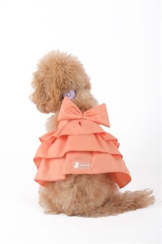 Doredog Somon Elbise 