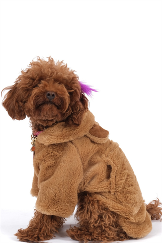 Doredog Taba Rengi Peluş Mont