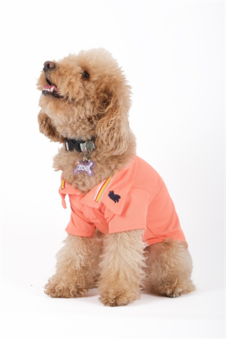 Doredog Yavruağzı Polo Yaka Tshirt