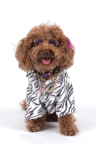 Doredog Zebra Desen Peluş Mont