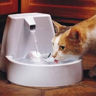 Drinkwell Klasik Kedi Köpek Su Pınarı