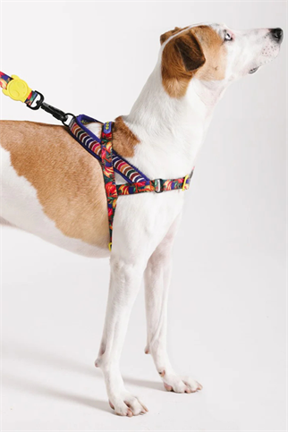 Zee.Dog Samba Softer Walk Köpek Göğüs Tasması - FARM Rio