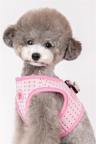 Pinkaholic New York Mila Harness B Göğüs Tasması Pembe