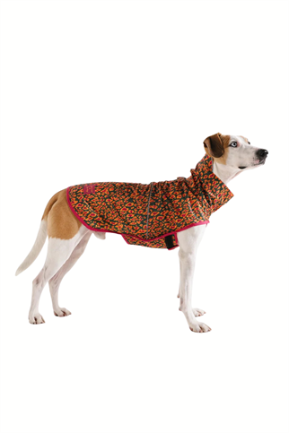 Zee.Dog Raincoat Selva - Köpek Yağmurluğu - FARM Rio