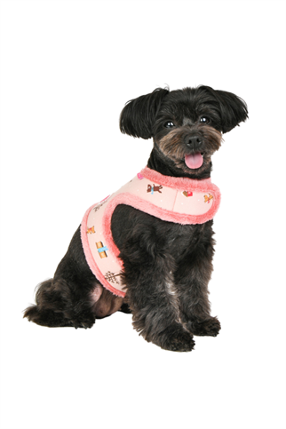 Pinkaholic New York Eira Pinka Harness Köpek Göğüs Tasması - Pembe